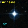 HD  29955