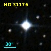 HD  31176