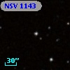 NSV  1143