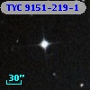 TYC 9151-219-1