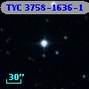 TYC 3758-1636-1