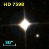 HD   7598