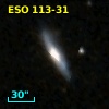 ESO 113-31