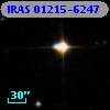 IRAS 01215-6247