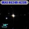 IRAS 01249-6239