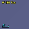 V* BS Tuc