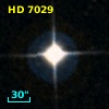HD   7029