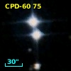 CPD-60    75
