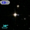CD-53   193
