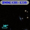 [EM96] COS-1239