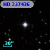 HD 237436