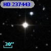 HD 237443