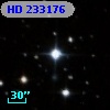 HD 233176