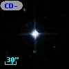 CD-50   226