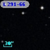 L  291-66