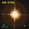 HR   171