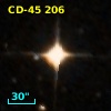 CD-45   206