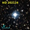 HD 202124