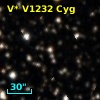V* V1232 Cyg