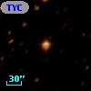 TYC 8218-1981-1