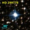 HD 299778