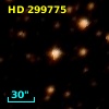 HD 299775