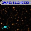 2MASX J11242223-5543138