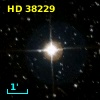 HD  38229