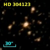 HD 304123