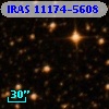 IRAS 11174-5608