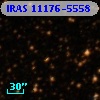IRAS 11176-5558