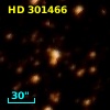 HD 301466