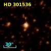 HD 301536