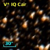 V* IQ Car