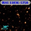 IRAS 11036-5750