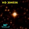 HD 304036