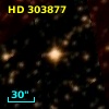 HD 303877