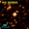 HD 303955