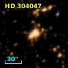 HD 304047