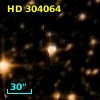 HD 304064