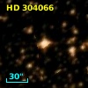 HD 304066