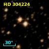 HD 304224