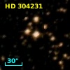 HD 304231