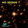 HD 305946