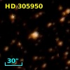 HD 305950