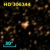 HD 306344