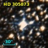 HD 305873