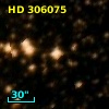 HD 306075