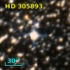 HD 305893