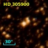 HD 305900